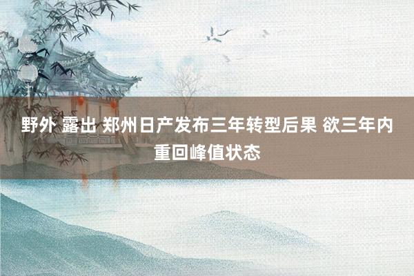 野外 露出 郑州日产发布三年转型后果 欲三年内重回峰值状态