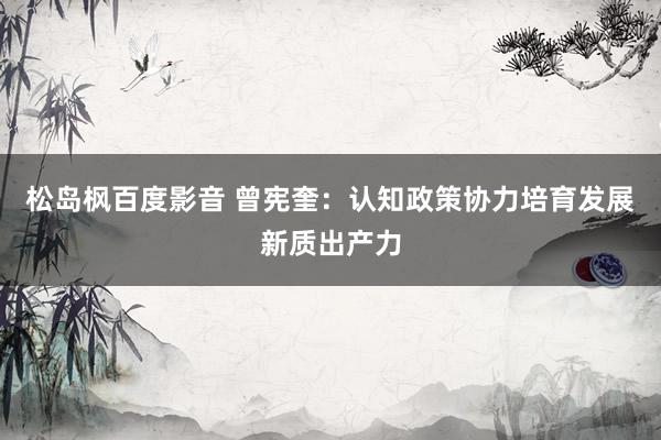 松岛枫百度影音 曾宪奎：认知政策协力培育发展新质出产力