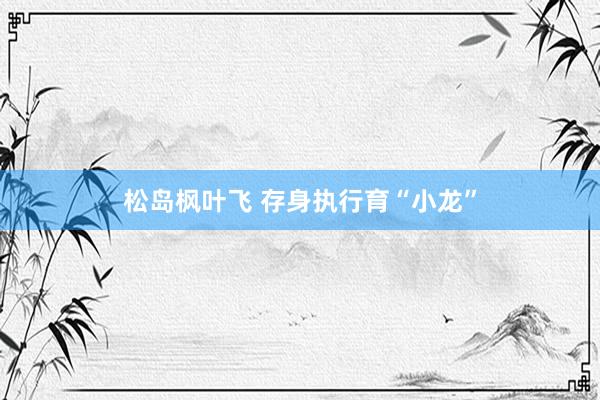 松岛枫叶飞 存身执行育“小龙”