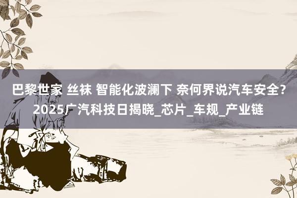 巴黎世家 丝袜 智能化波澜下 奈何界说汽车安全？2025广汽科技日揭晓_芯片_车规_产业链