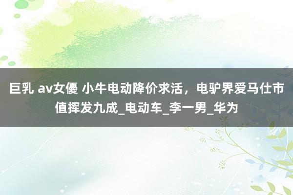 巨乳 av女優 小牛电动降价求活，电驴界爱马仕市值挥发九成_电动车_李一男_华为