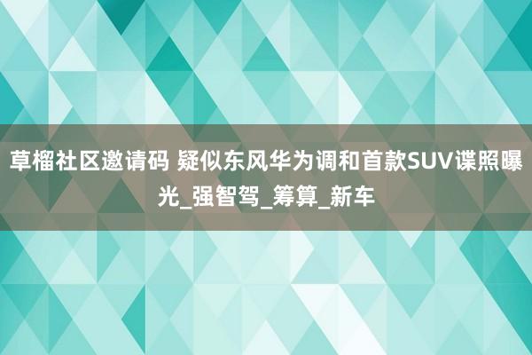 草榴社区邀请码 疑似东风华为调和首款SUV谍照曝光_强智驾_筹算_新车