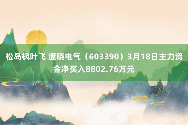 松岛枫叶飞 邃晓电气（603390）3月18日主力资金净买入8802.76万元