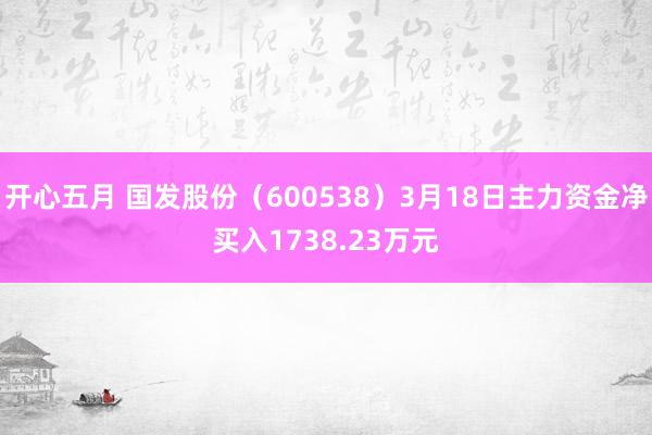开心五月 国发股份（600538）3月18日主力资金净买入1738.23万元
