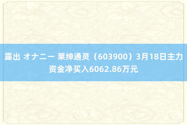 露出 オナニー 莱绅通灵（603900）3月18日主力资金净买入6062.86万元