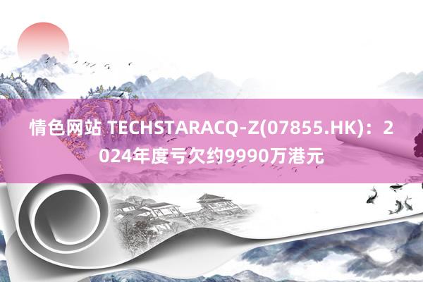 情色网站 TECHSTARACQ-Z(07855.HK)：2024年度亏欠约9990万港元