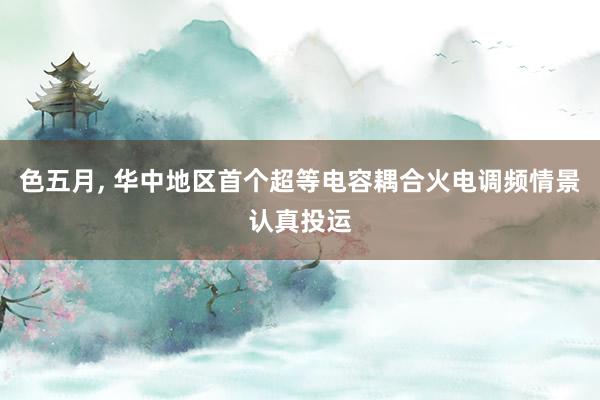 色五月， 华中地区首个超等电容耦合火电调频情景认真投运
