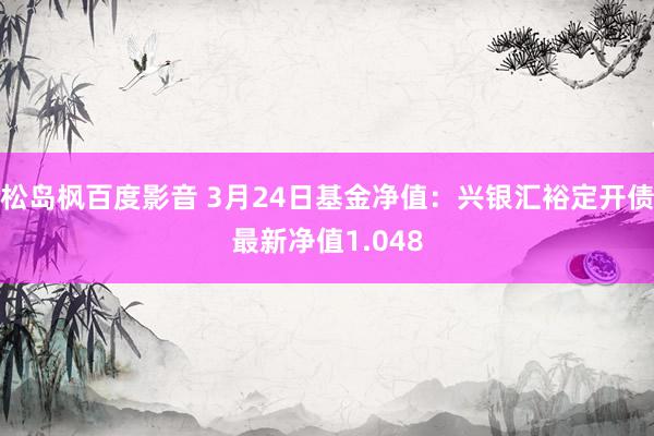 松岛枫百度影音 3月24日基金净值：兴银汇裕定开债最新净值1.048