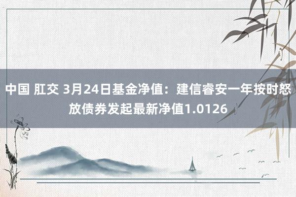 中国 肛交 3月24日基金净值：建信睿安一年按时怒放债券发起最新净值1.0126