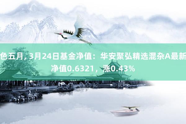 色五月， 3月24日基金净值：华安聚弘精选混杂A最新净值0.6321，涨0.43%