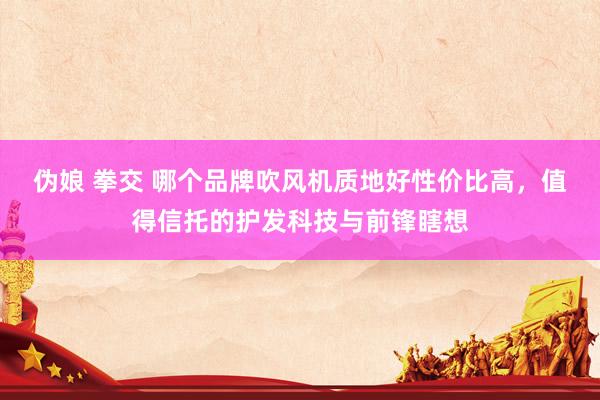 伪娘 拳交 哪个品牌吹风机质地好性价比高，值得信托的护发科技与前锋瞎想