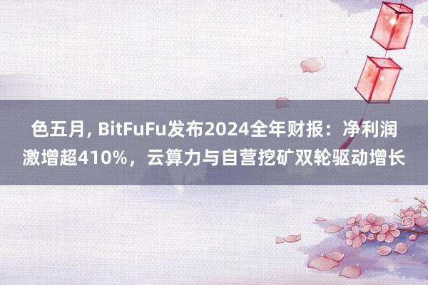 色五月， BitFuFu发布2024全年财报：净利润激增超410%，云算力与自营挖矿双轮驱动增长