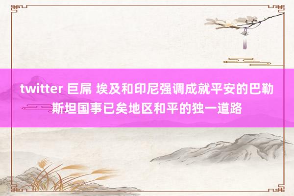 twitter 巨屌 埃及和印尼强调成就平安的巴勒斯坦国事已矣地区和平的独一道路