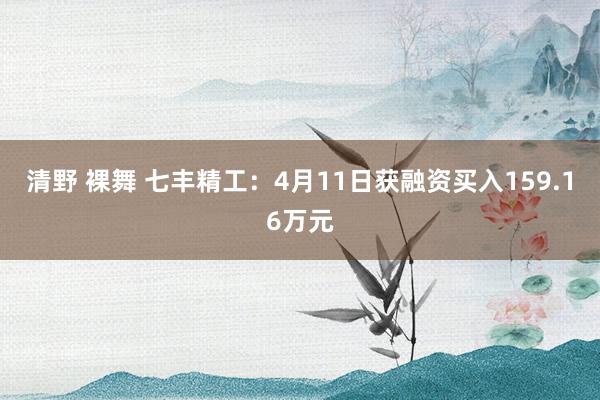 清野 裸舞 七丰精工：4月11日获融资买入159.16万元