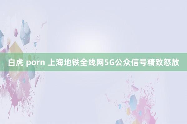 白虎 porn 上海地铁全线网5G公众信号精致怒放