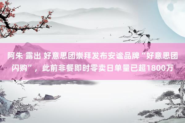阿朱 露出 好意思团崇拜发布安谧品牌“好意思团闪购”，此前非餐即时零卖日单量已超1800万