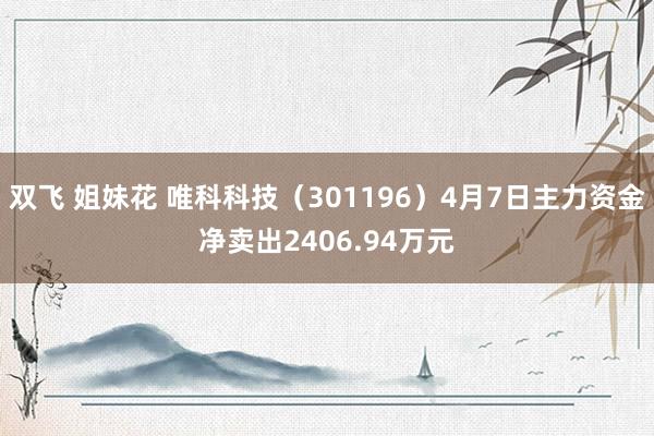 双飞 姐妹花 唯科科技（301196）4月7日主力资金净卖出2406.94万元