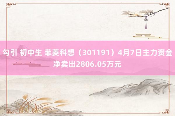 勾引 初中生 菲菱科想（301191）4月7日主力资金净卖出2806.05万元