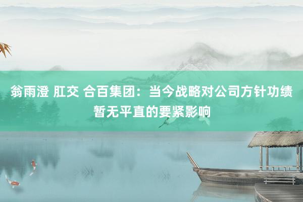 翁雨澄 肛交 合百集团：当今战略对公司方针功绩暂无平直的要紧影响