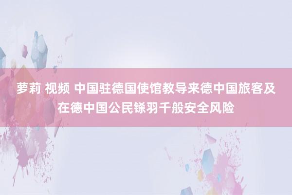 萝莉 视频 中国驻德国使馆教导来德中国旅客及在德中国公民铩羽千般安全风险