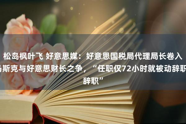 松岛枫叶飞 好意思媒：好意思国税局代理局长卷入马斯克与好意思财长之争，“任职仅72小时就被动辞职”