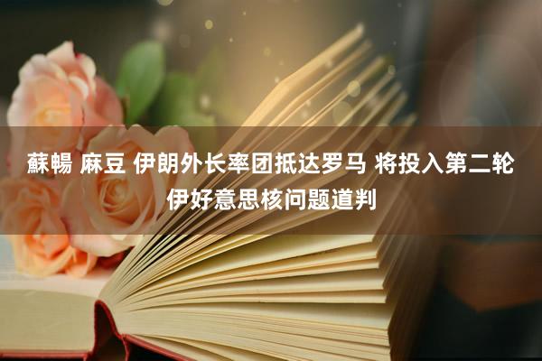蘇暢 麻豆 伊朗外长率团抵达罗马 将投入第二轮伊好意思核问题道判