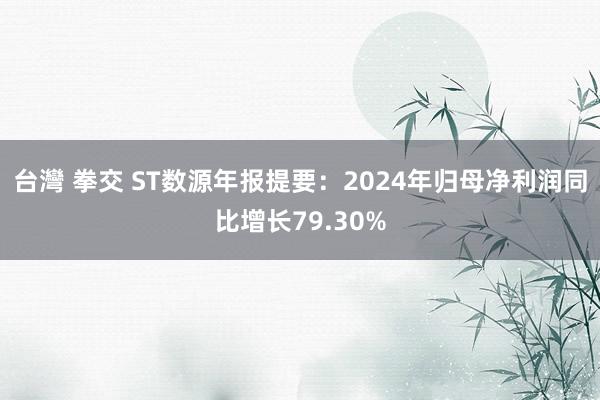 台灣 拳交 ST数源年报提要：2024年归母净利润同比增长79.30%