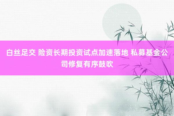白丝足交 险资长期投资试点加速落地 私募基金公司修复有序鼓吹