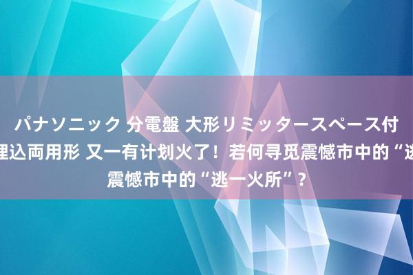 パナソニック 分電盤 大形リミッタースペース付 露出・半埋込両用形 又一有计划火了！若何寻觅震憾市中的“逃一火所”？