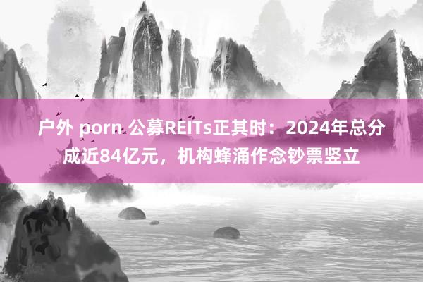 户外 porn 公募REITs正其时：2024年总分成近84亿元，机构蜂涌作念钞票竖立