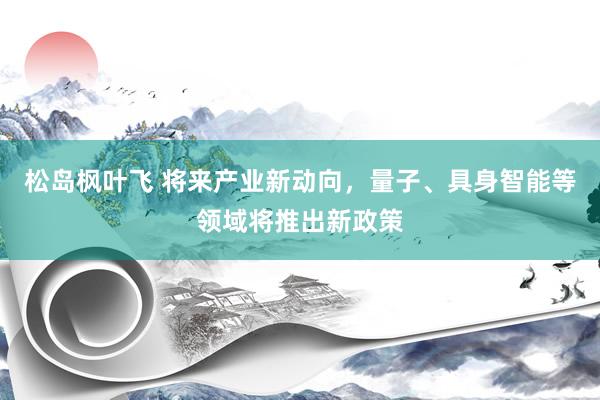 松岛枫叶飞 将来产业新动向，量子、具身智能等领域将推出新政策