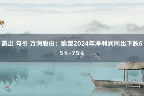 露出 勾引 万润股份：瞻望2024年净利润同比下跌65%-75%