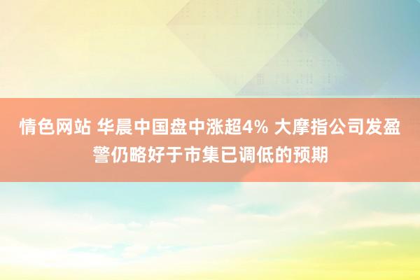 情色网站 华晨中国盘中涨超4% 大摩指公司发盈警仍略好于市集已调低的预期