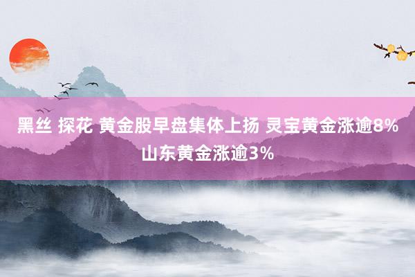 黑丝 探花 黄金股早盘集体上扬 灵宝黄金涨逾8%山东黄金涨逾3%