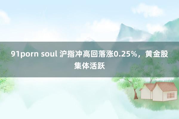 91porn soul 沪指冲高回落涨0.25%，黄金股集体活跃