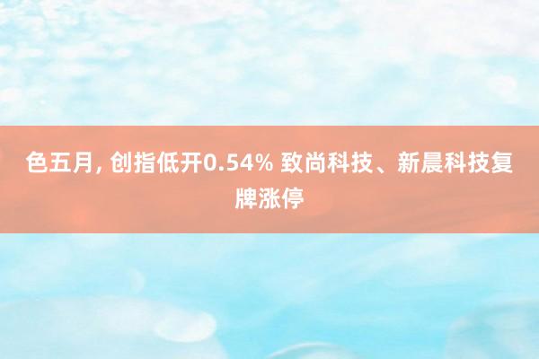 色五月， 创指低开0.54% 致尚科技、新晨科技复牌涨停