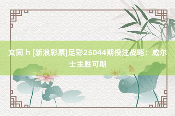 女同 h [新浪彩票]足彩25044期投注战略：威尔士主胜可期