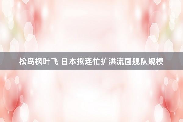松岛枫叶飞 日本拟连忙扩洪流面舰队规模