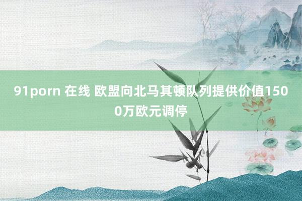 91porn 在线 欧盟向北马其顿队列提供价值1500万欧元调停